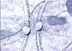 Aera Elementum Movo Discrim - Windstoss
