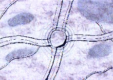 Ignitia - Magisches Licht